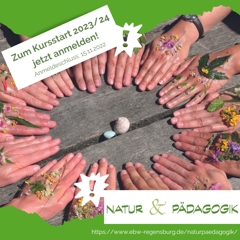 EBW_Natur_Pädagogik_Insta